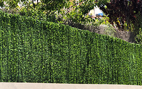 dense artificial hedge installed