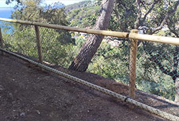 wooden fences grame
